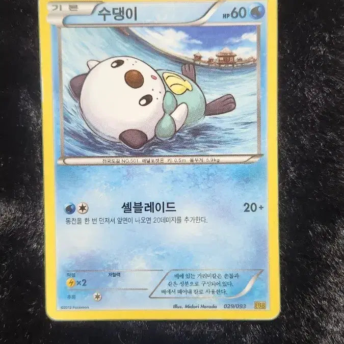 [BUNJANG] Pokemon Card Cyndaquil / 포켓몬 카드 수댕이