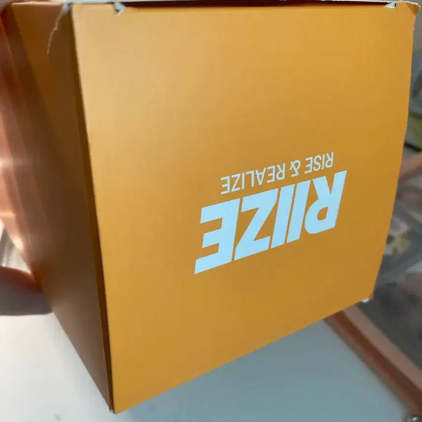 [SOLD OUT] 라이즈 응원봉