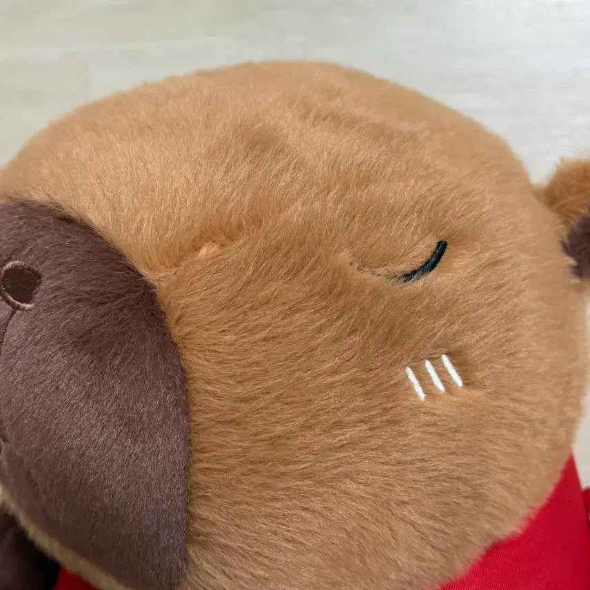 [BUNJANG] Capybara Plush Stuffed Animal (Medium-Large) / 카피바라 중대형인형 새상품