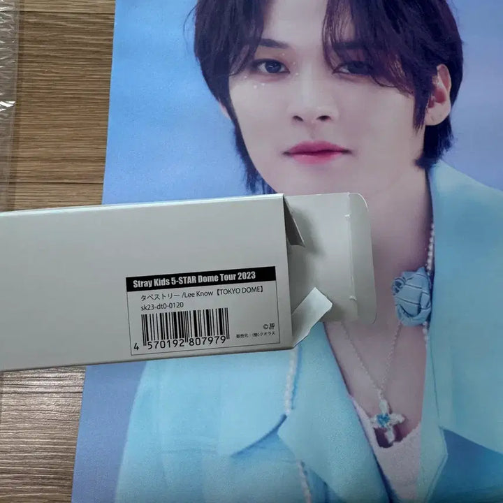 [BUNJANG] Stray Kids Lee Know 5-STAR Dome Tour Tapestry / straykids 리노 태피스트리