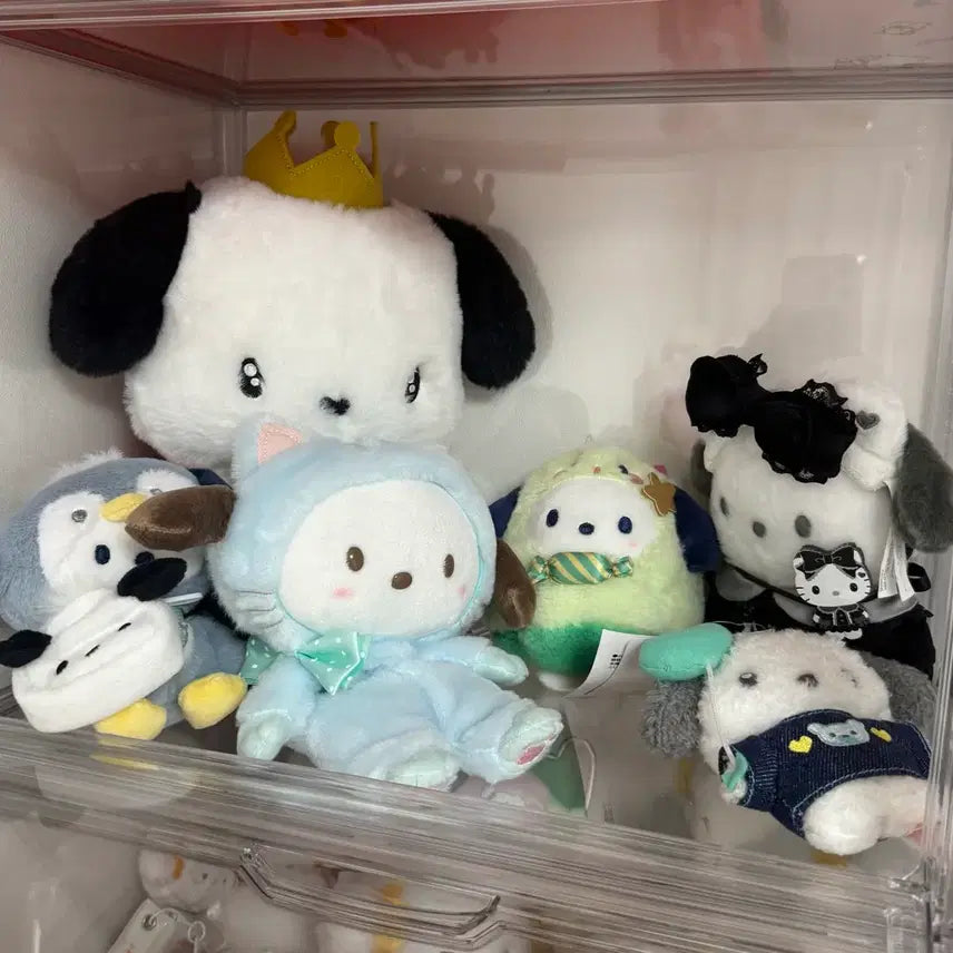[BUNJANG] Sanrio Pochacco Doll Bundle Set / 포차코 인형 일괄 처분