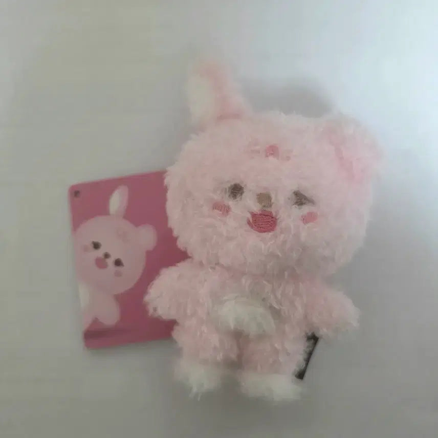 [BUNJANG] Day6 Magnet Pilki Bundle Set / 데이식스 마그넷 필끼 (볼따구 자석). 나안아 필 일괄 양도