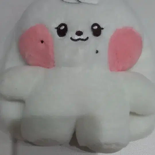 [BUNJANG] IVE Cherry Doll / 아이브 체리 인형 팔아요.