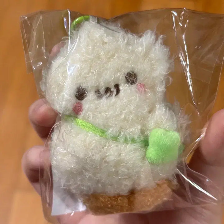 [SOLD OUT] 하츠투하츠 하뀨하 이안 정땅콩 인형