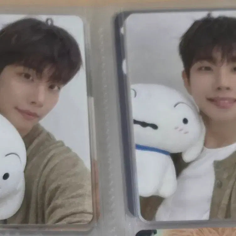 [BUNJANG] Astro MJ DICE POB Photocard / 아스트로 주니지니 DICE MJ 미공포 포카