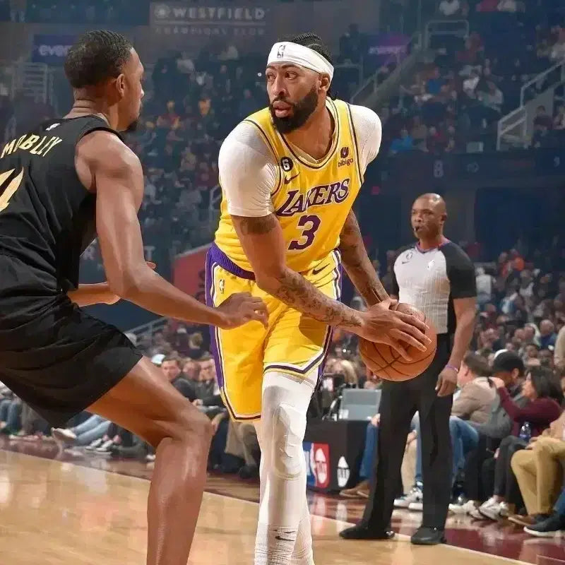[SOLD OUT] Anthony Davis 1/6 Figure (핫토이X앤터베이X작가작)