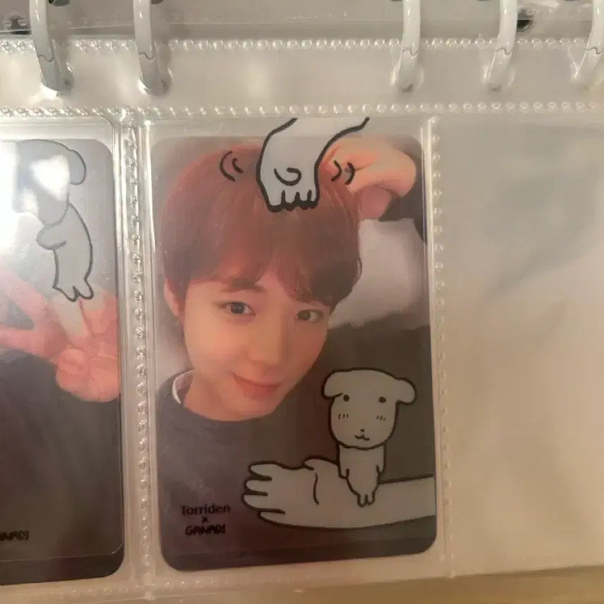 [BUNJANG] Stray Kids NOEASY Lucky Draw Photocard Bundle Set / 나이트로 미공포 일괄 판매