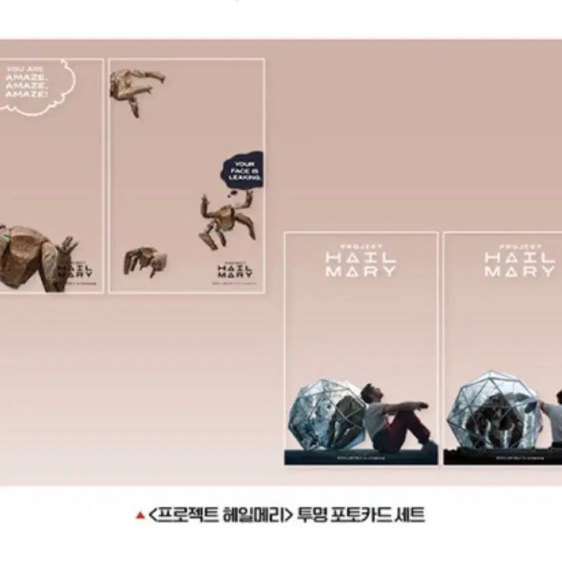 [SOLD OUT] 헤일메리 포토카드 세트 팝니다
