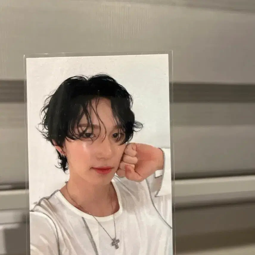[BUNJANG] 피원하모니 테오 최태양 포카 공방 / 피원하모니 테오 최태양 포카 공방
