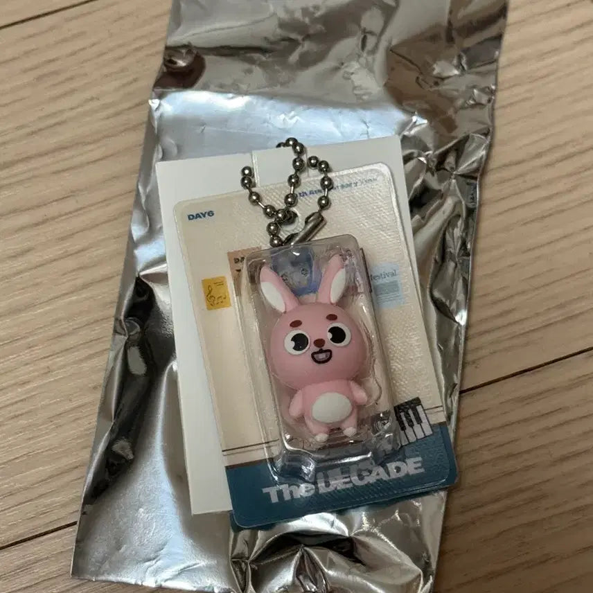 [BUNJANG] 데이식스 일본 랜덤 피규어 키링 필 / 데이식스 일본 랜덤 피규어 키링 필