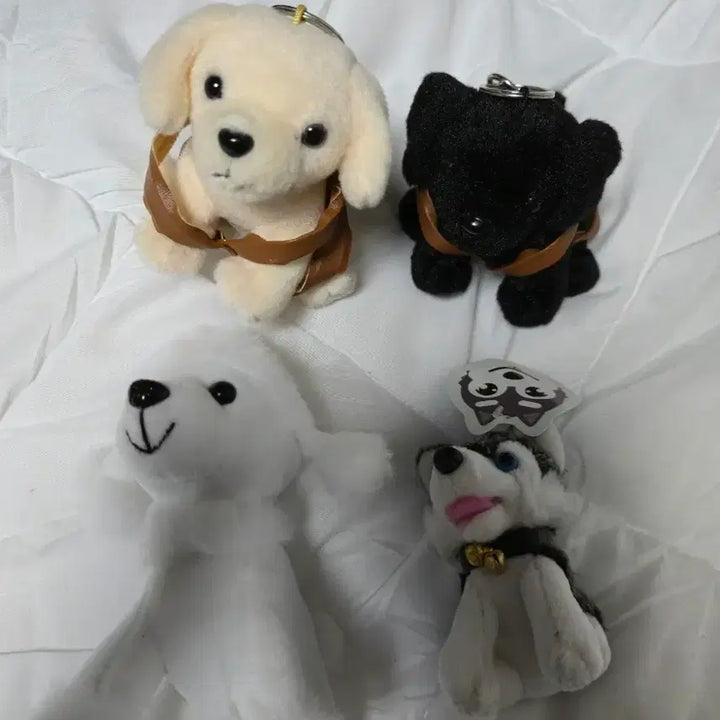 [BUNJANG] Dog Charm Keychain Doll Bundle Bag Charm / 강아지 키링 개 열쇠고리 인형 일괄 가방걸이
