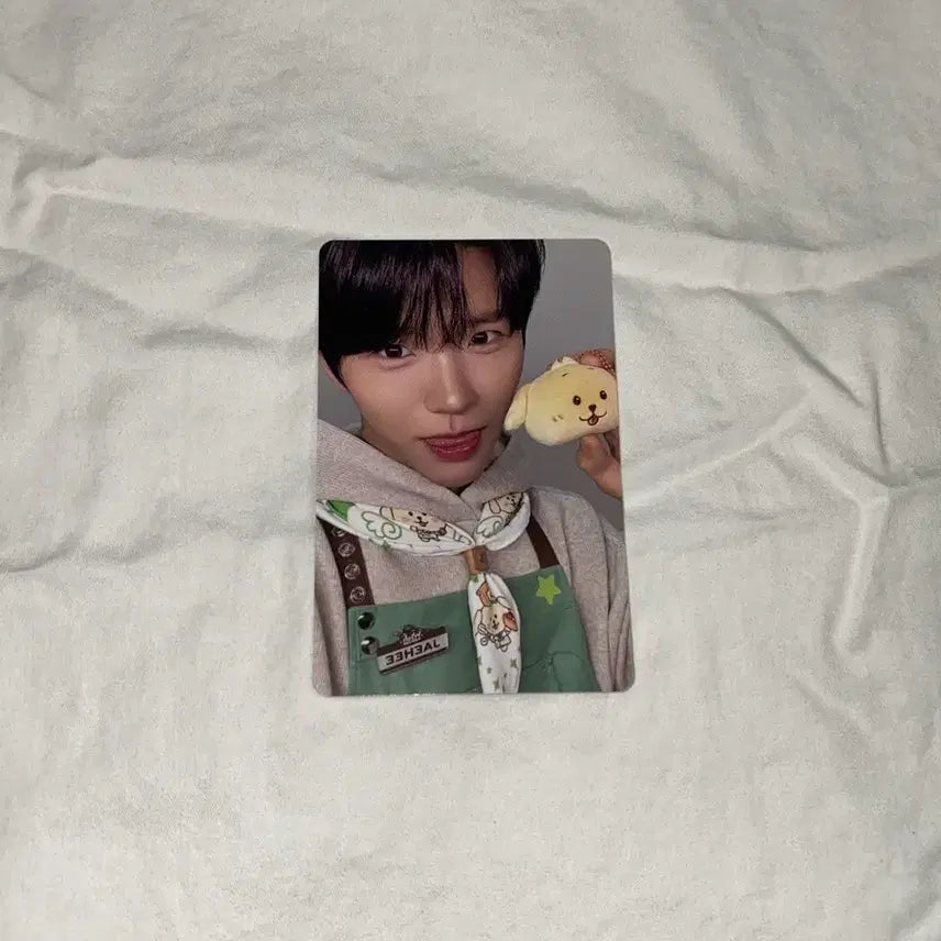 [BUNJANG] Wish Bakery Jaehee Daeyoung Photocard / 위시베이커리 7만원포카 재희 대영 양도