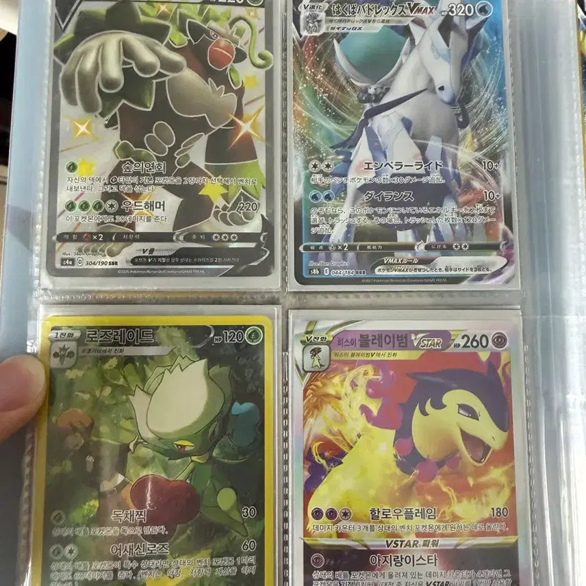 [BUNJANG] Pokemon Cards Collection / 10년동안 모은 포켓몬카드