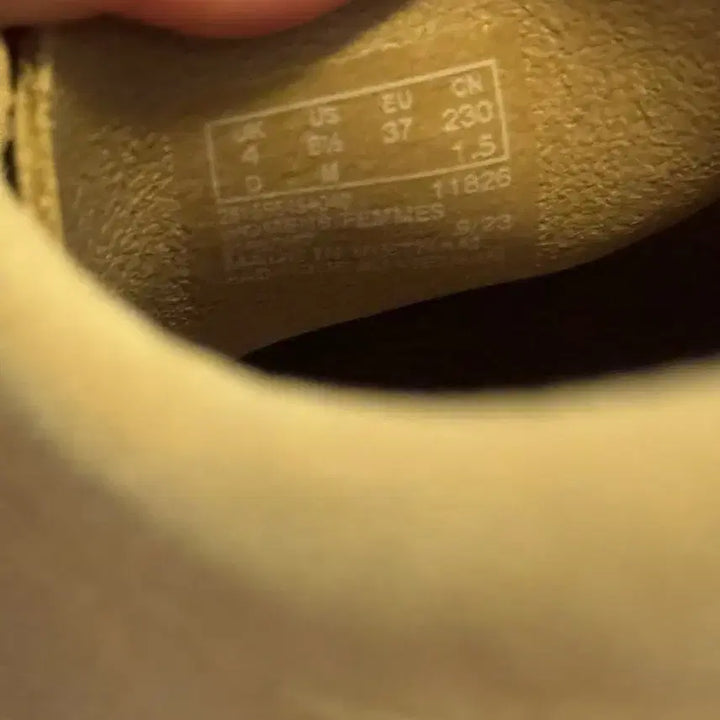 [BUNJANG] Clarks Wallabee Maple Shoes / 클락스 왈라비 메이플 230 (UK 4)