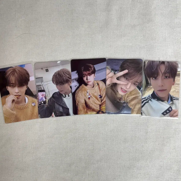 [SOLD OUT] 알파드라이브원 씬롱 포카 일괄 양도