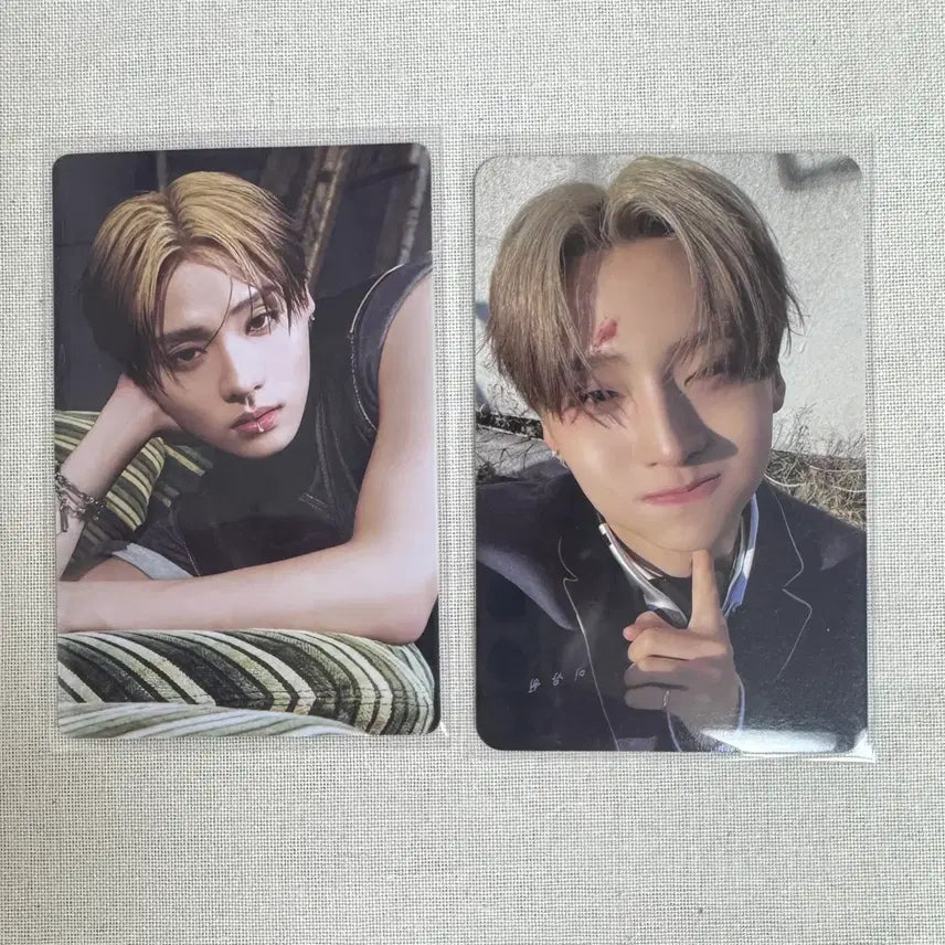 [BUNJANG] ALPHADRIVEONE Sangwon Bundle Set Photocard / 알파드라이브원 상원 포카 일괄 양도