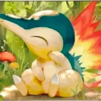 [BUNJANG] Pokemon Promo Card Braixen / 포켓몬 프로모 카드 브케인