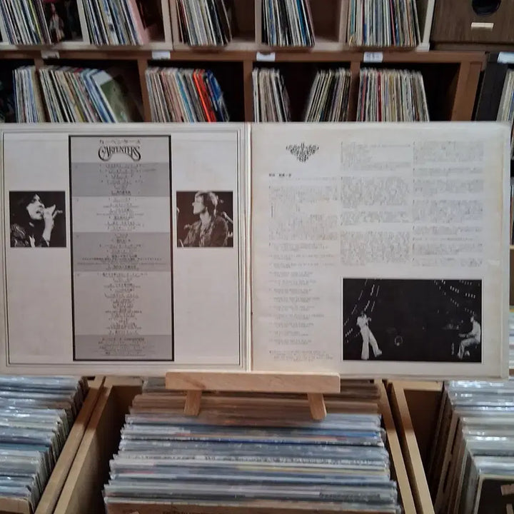 [BUNJANG] The Carpenters Double LP Vinyl Record / 소장가치 카펜터스 Carpenters 더블 LP