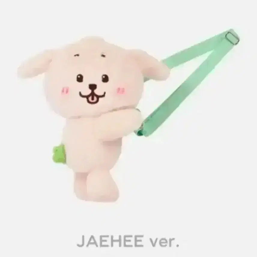 [SOLD OUT] nct wish 재희 댕트리버 가방(포카O)