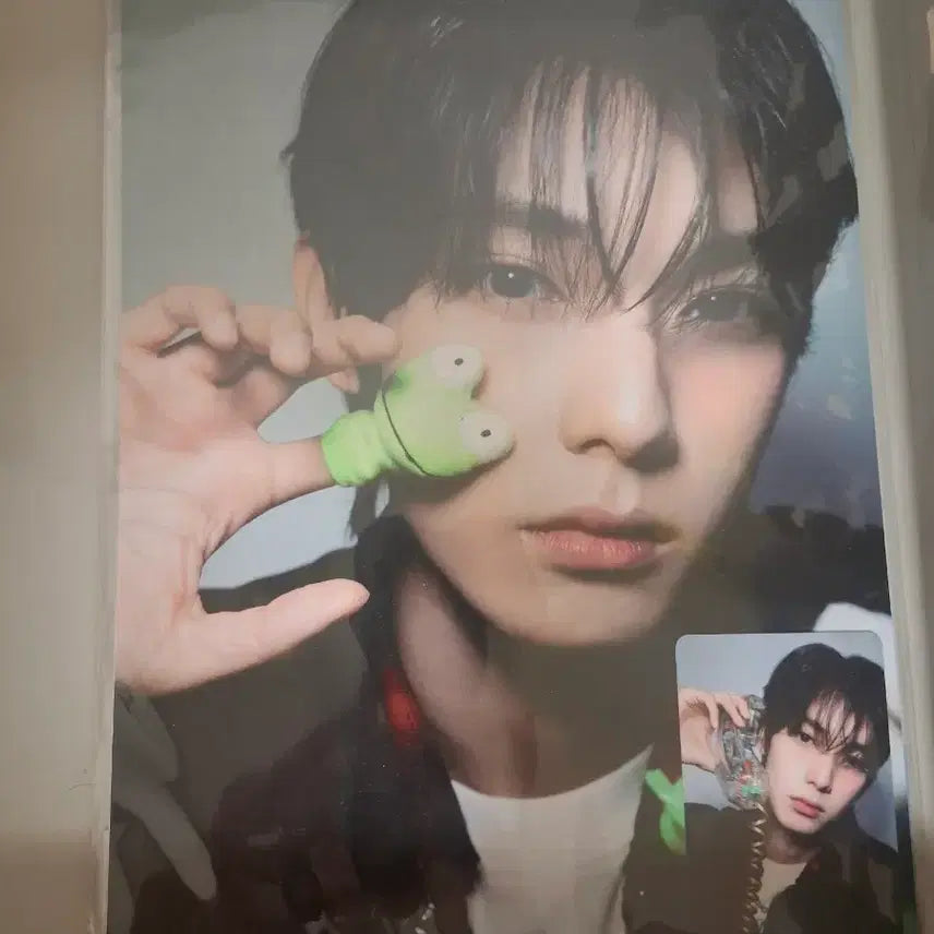 [BUNJANG] Chae Rinwoo Bopfl A4 Poster Set / 보플 최립우 A4 포스터 세트