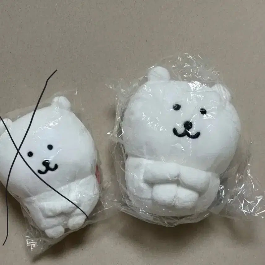 [BUNJANG] Kkoomggom Teddy Bear / 체육 꼬옥 농담곰