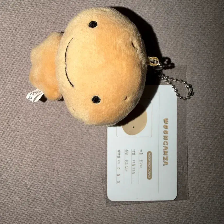 [BUNJANG] BOYNEXTDOOR Woonhak 10cm Doll with Adoption Certificate / 주말만 세일 보이넥스트도어 운학 운감자 10CM + 입양증