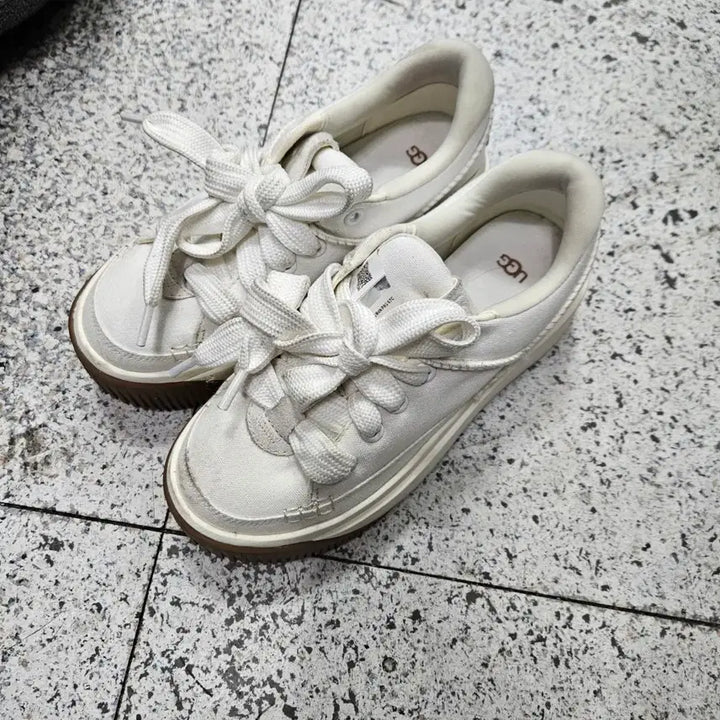 [BUNJANG] UGG EZ Does It Platform Sneakers (White/Brown) / UGG 어그  스니커즈 240