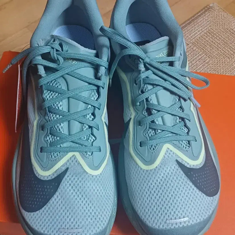 [BUNJANG] Nike Zoom Fly 6 Running Shoes / (290)나이키런닝화 줌플라이6