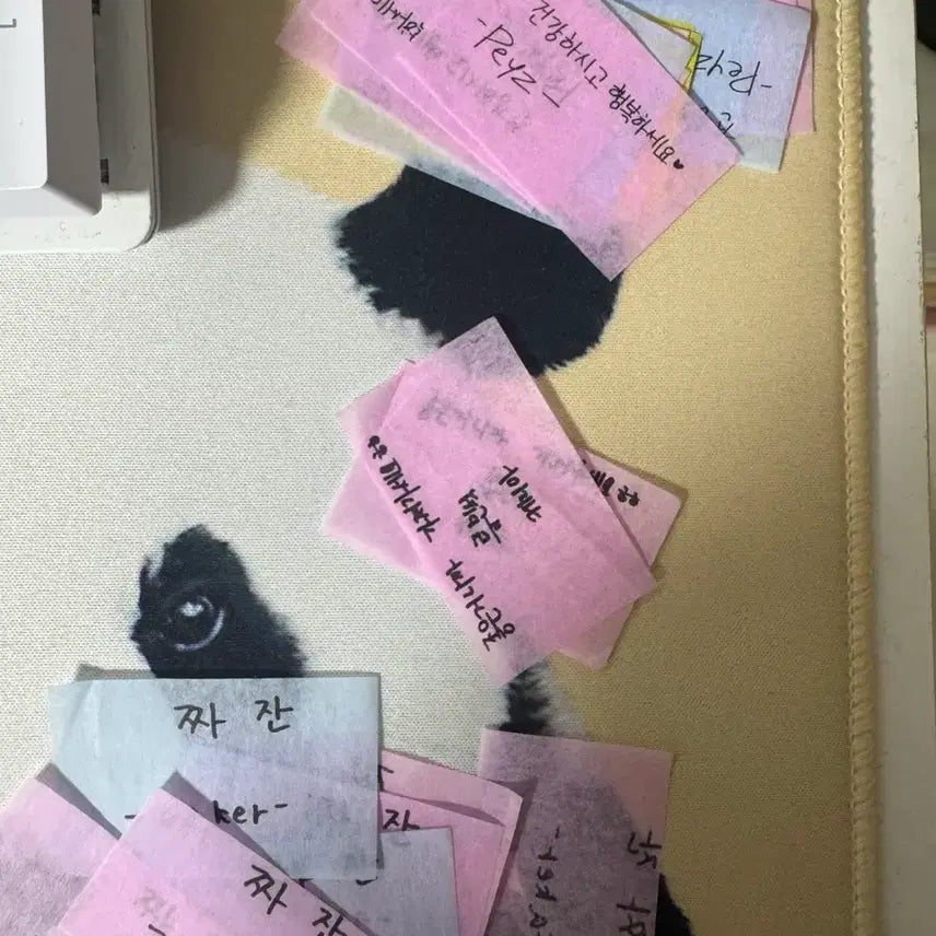 [BUNJANG] T1 Confetti Group Set (5 Members) / T1 컨페티 단체 핑크 5명