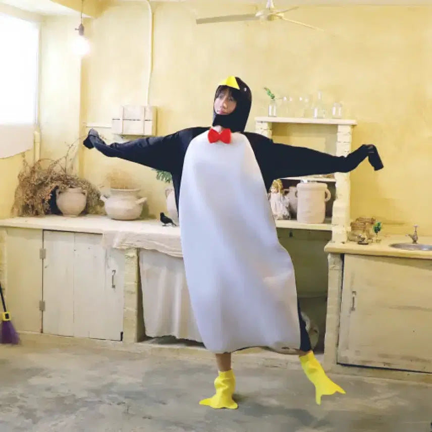 [BUNJANG] Penguin Costume Rental / 펭귄 코스튬 졸사 대여(최저가)