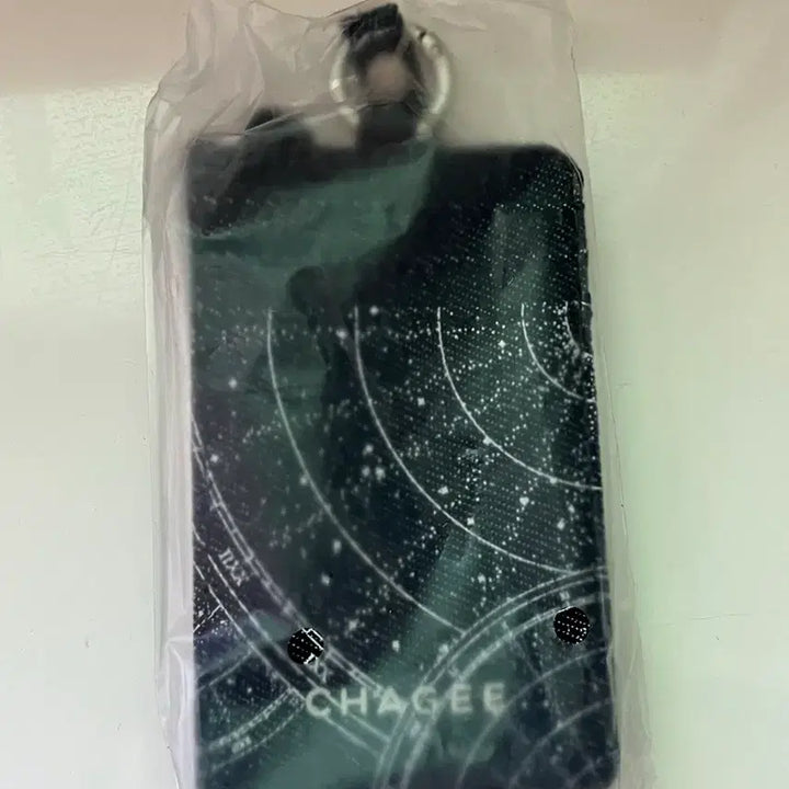 [BUNJANG] CHAGEE Card Holder Necklace Goods / (새상품) 차지 CHAGEE 카드홀더 목걸이형 굿즈