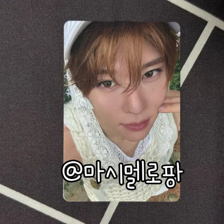 [BUNJANG] NCT WISH Os to Love Eros Sion Photocard / 엔시티위시 오드투러브 빅스미니 에로스 시온 포카 포토카드 nct