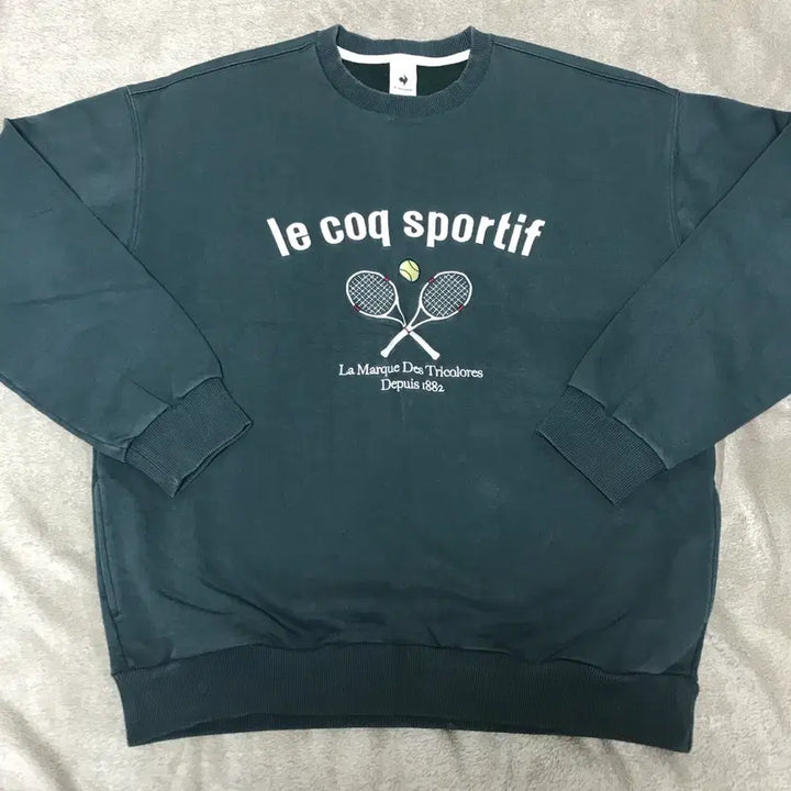 [BUNJANG] Le Coq Sportif Oversized Sweatshirt L / 르꼬끄 스포르티브 오버핏 맨투맨 100(L)