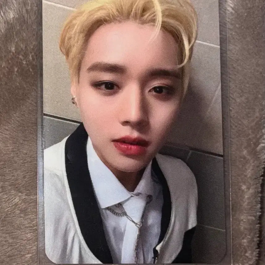 [BUNJANG] Park Jihoon Message Makestar POB Photocard / 박지훈 Message 메이크스타 특전 양도