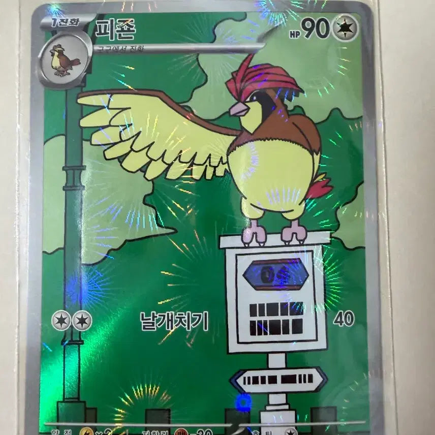 [BUNJANG] Pokemon Card Pidgey / 포켓몬 카드 피죤