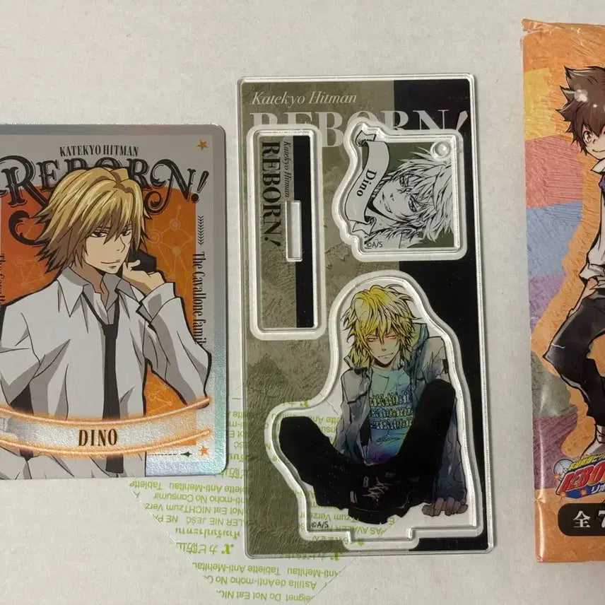 [BUNJANG] Katekyo Hitman Reborn! Dino Acrylic Stand &amp; Cards Bundle / 가히리 가정교사 히트맨 리본 디노 아크릴 &amp; 카드 굿즈 일괄