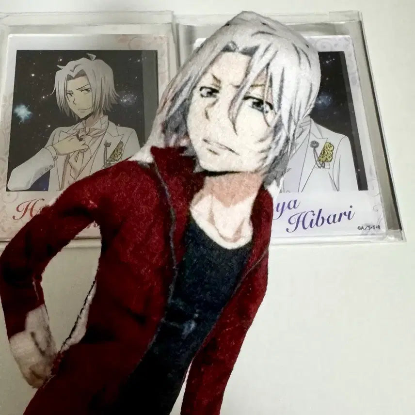 [BUNJANG] Katekyo Hitman Reborn! Hayato Gokudera Bundle Set / (6.25일까지)가히리 가정교사히트맨리본 고쿠데라 하야토 일괄
