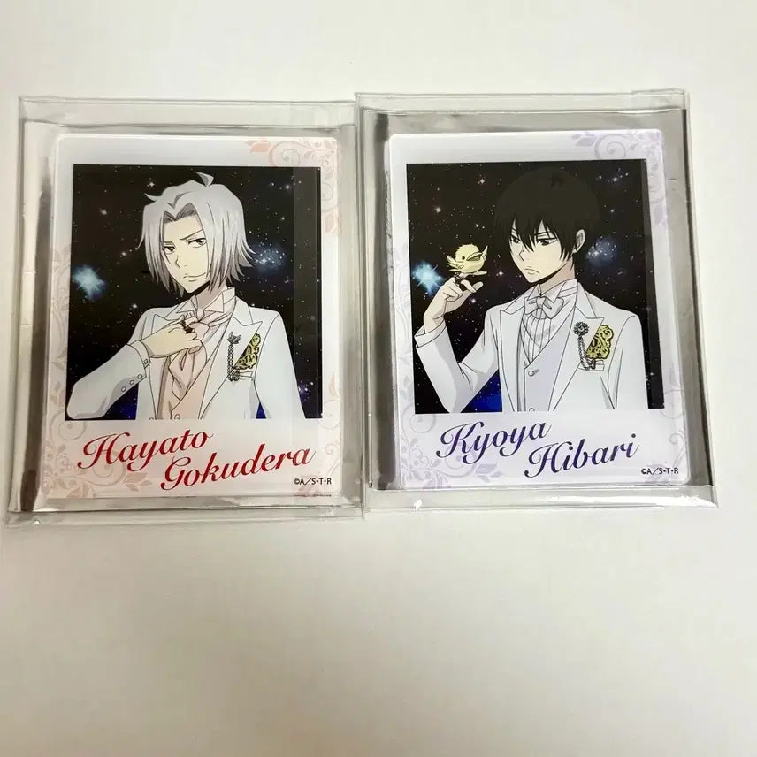 [BUNJANG] Katekyo Hitman Reborn! Hayato Gokudera Bundle Set / (6.25일까지)가히리 가정교사히트맨리본 고쿠데라 하야토 일괄