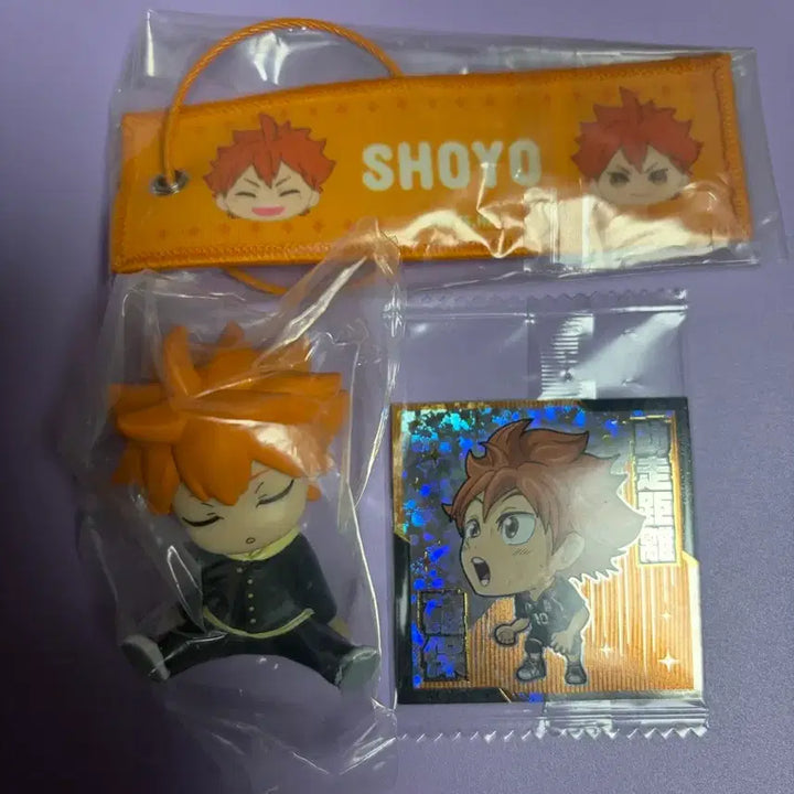 [BUNJANG] Haikyuu!! Hinata Goods Bundle Set / 하이큐 히나타 굿즈 일괄
