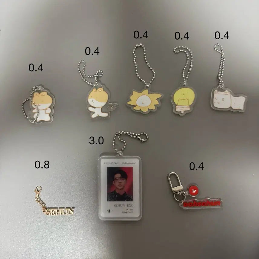 [BUNJANG] EXO Keychain &amp; Badge Set / 엑소 키링 뱃지
