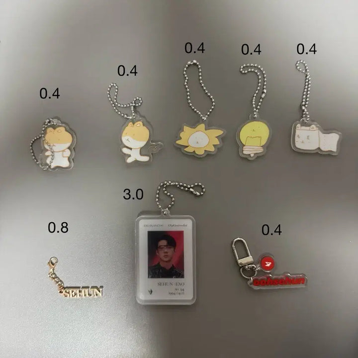 [BUNJANG] EXO Keychain &amp; Badge Set / 엑소 키링 뱃지