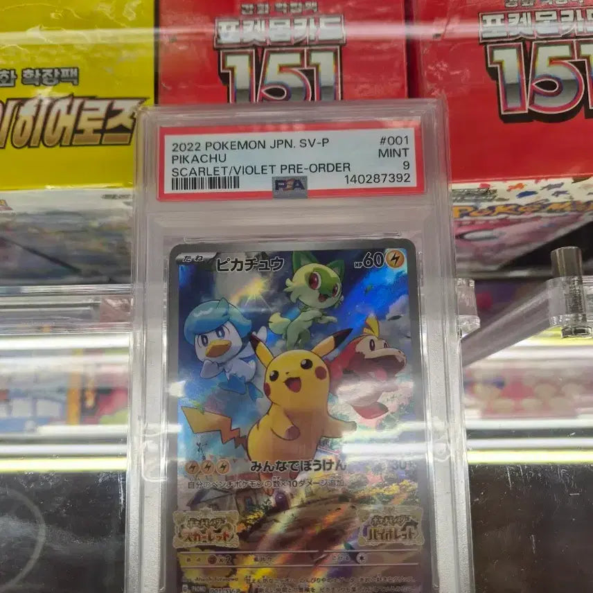 [BUNJANG] Pikachu PSA 9 Graded Card / 스바 피카츄 psa9등급