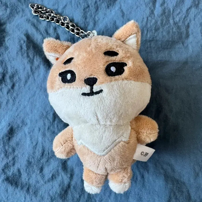 [BUNJANG] DAY6 Forever Young Young K Doll Keychain / 데이식스 일본 포에버영 MD 영케이 케 인형 키링