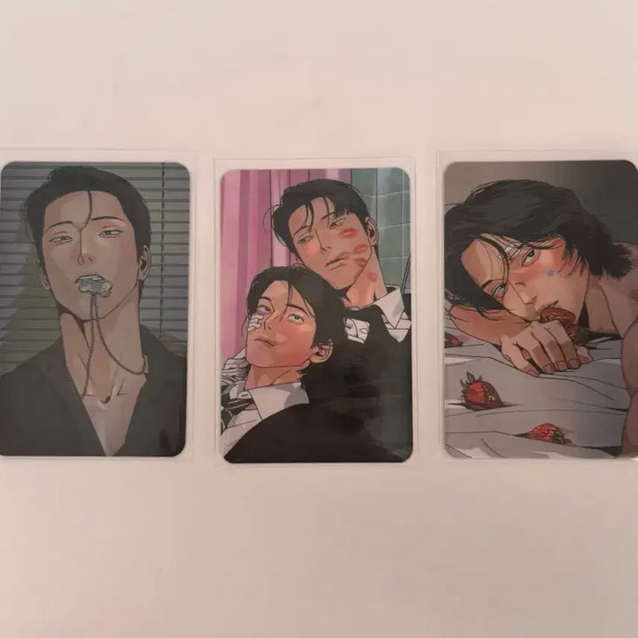 [SOLD OUT] 주의평화 주평 스페셜 컬포 드볼 포카 일괄 양도 주인철 안평화