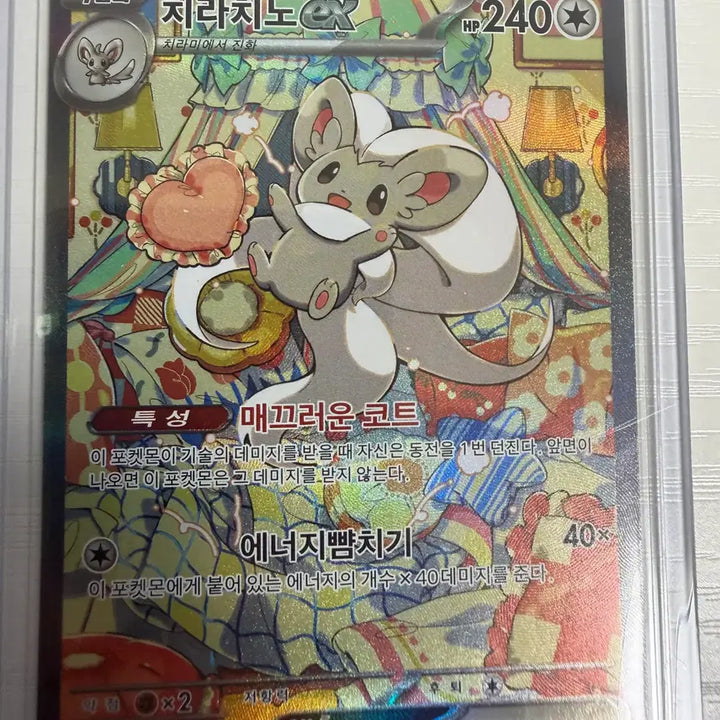 [BUNJANG] Pokemon Card Mega Charizard / 포켓몬 카드 판매합니다 메가개굴닌자