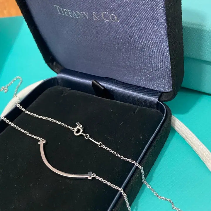 [BUNJANG] Tiffany &amp; Co. Smile Necklace Silver / 티파니 앤 코 스마일 목걸이 실버