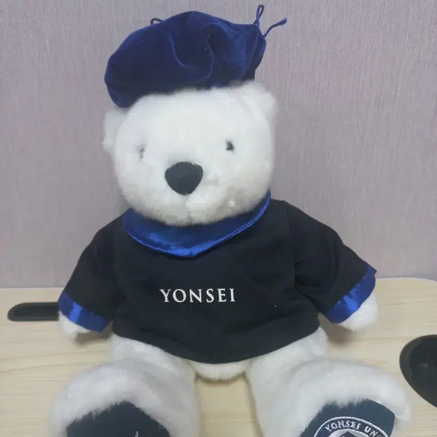 [BUNJANG] Yonsei University Graduation Bear (Yeongomi) / 연세대 학사모 곰인형 연곰이