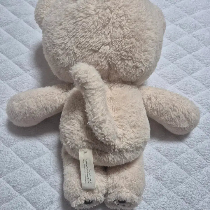 [SOLD OUT] nct 마크 치타리 왕타리 40cm인형
