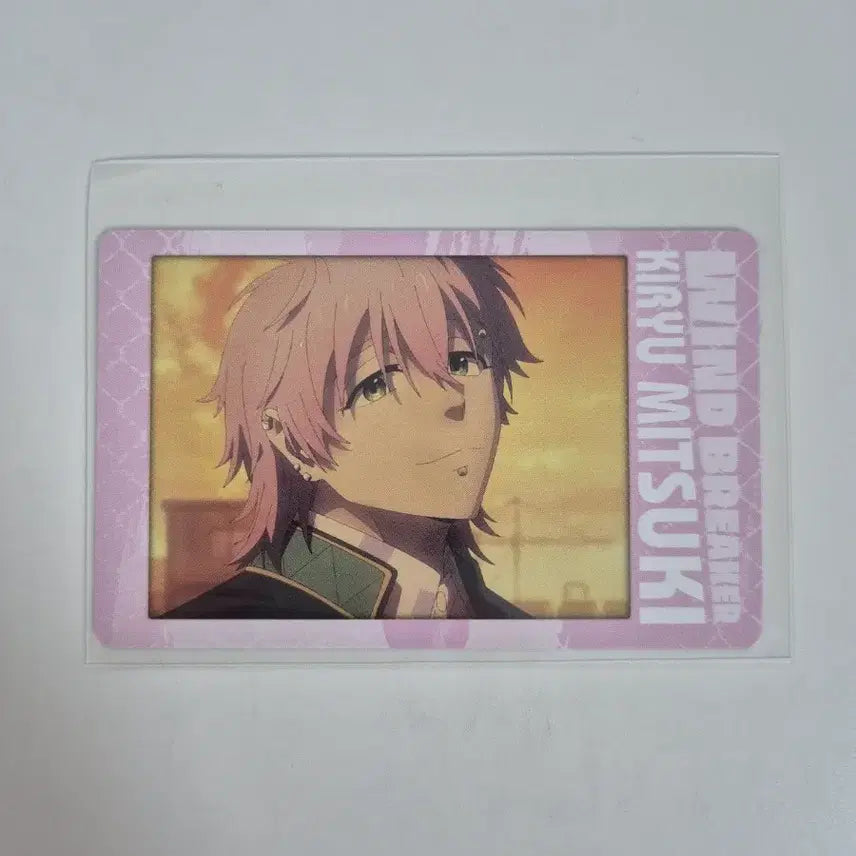 [BUNJANG] Winbre Kiryu Card / 윈브레 키류 카드