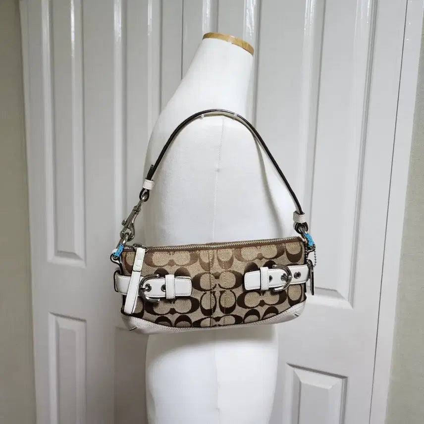 [BUNJANG] Coach Supple Baguette Bag (Rare) / 